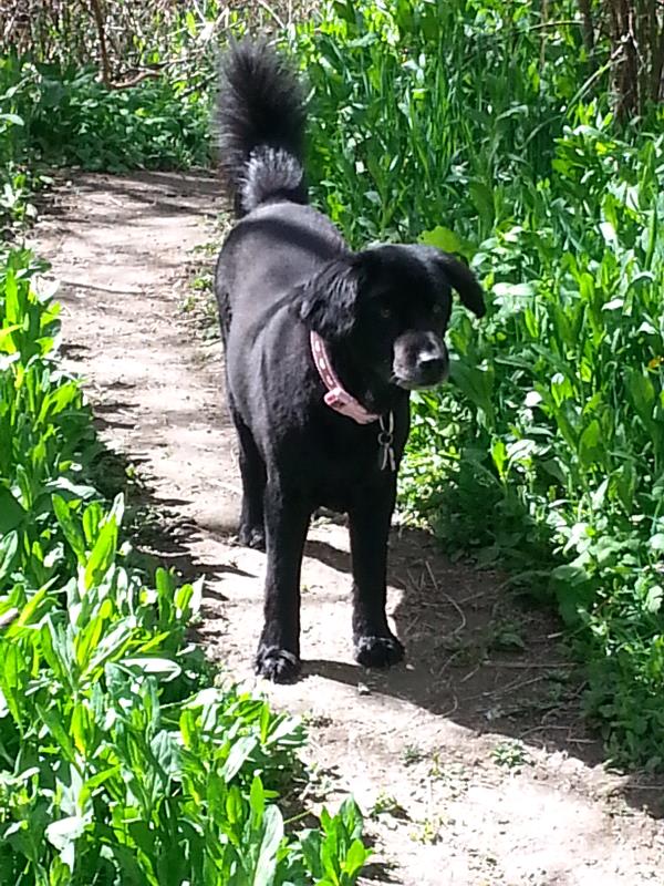 /Images/uploads/Humane Society of Utah/HSUCalendar/entries/906thumb.jpg